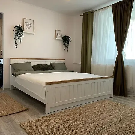 Carol Apartament's Timisoara