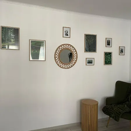 Carol Apartament's *