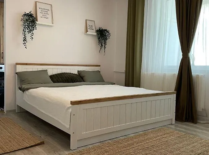 Carol Apartament's Timisoara