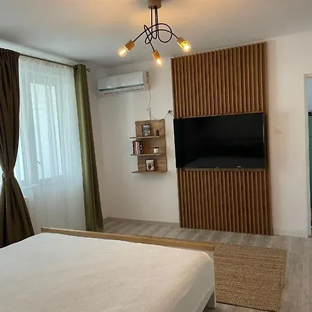 Carol Apartament's Timişoara