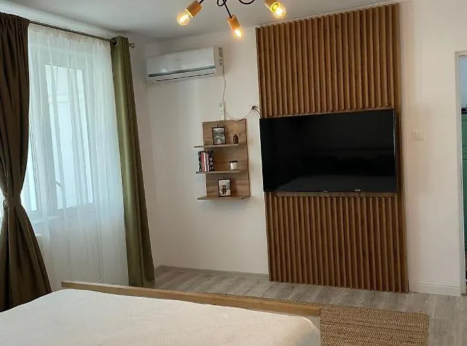Carol Apartament's Timişoara